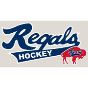 Custom Screen Printing Apparel Holiday & Leisure Rinks Team Store Regals Script Front